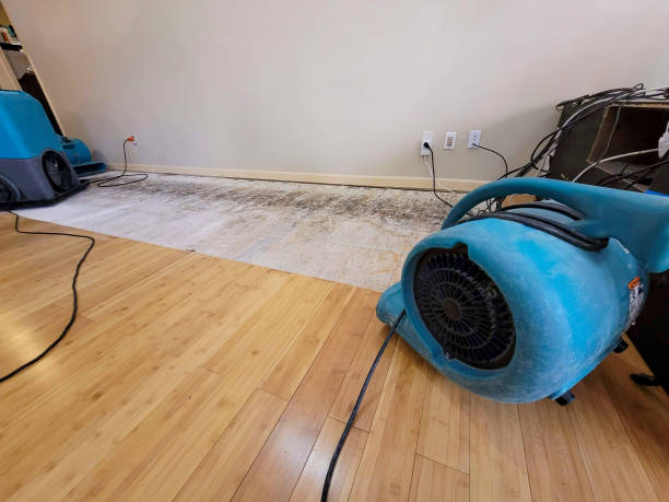 Professional Water Removal technician working in Bellefontaine, OH
